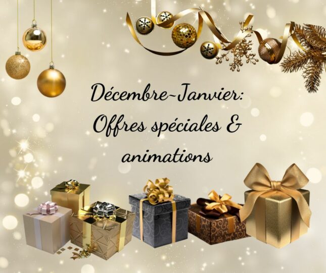 Affiches offres (Publication Facebook)